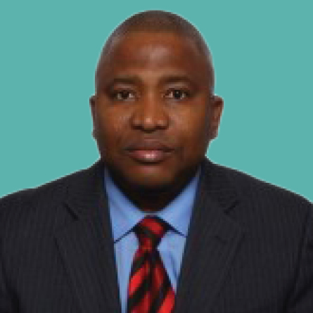 Emeka Great Primary image